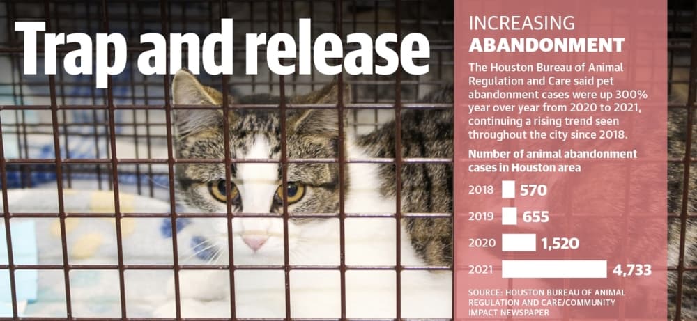 Local animal shelter programming aimed at reducing feral animal populations