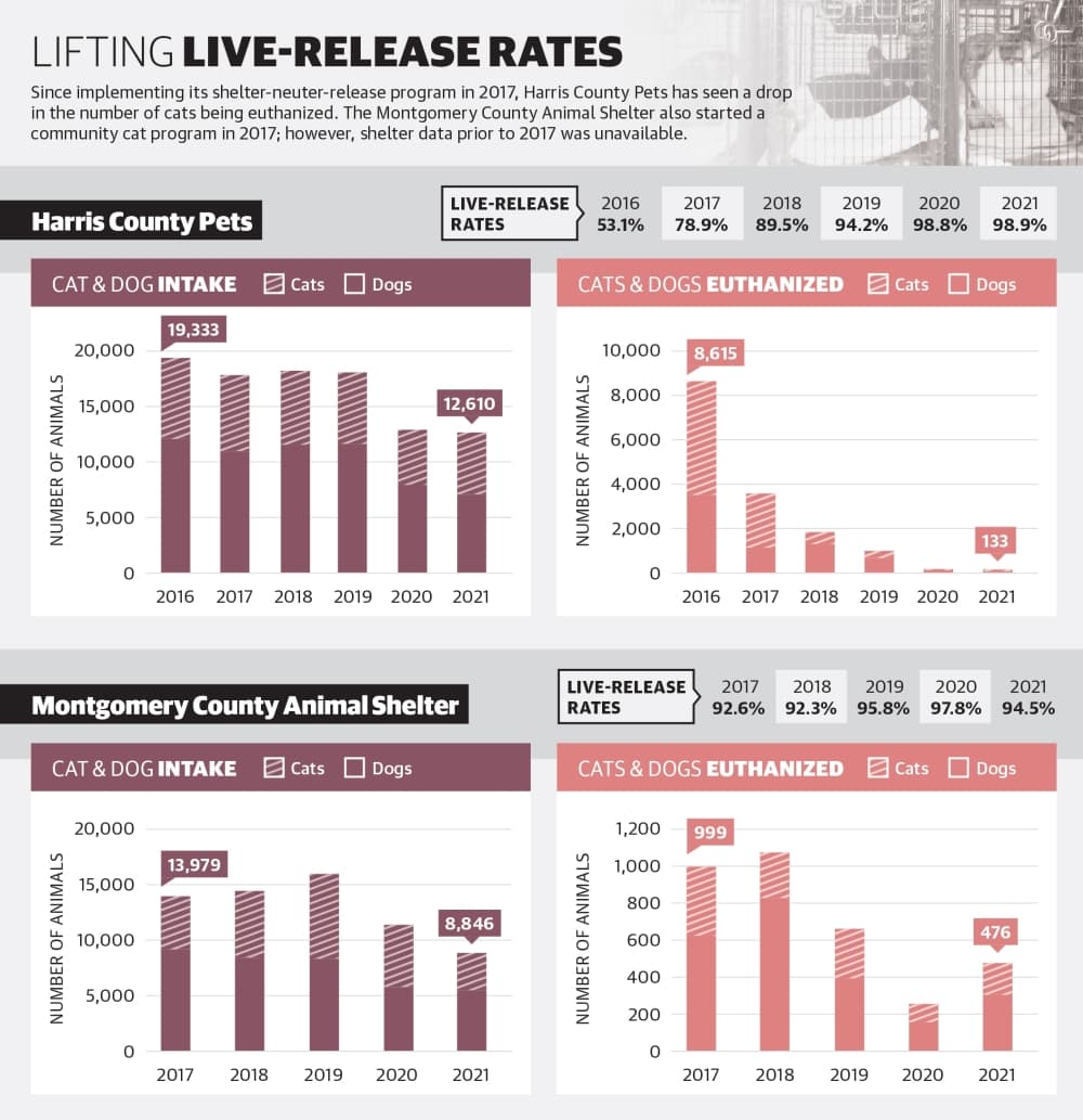Since implementing its shelter-neuter-release program in 2017, Harris County Pets has seen a drop in the number of cats being euthanized. The Montgomery County Animal Shelter also started a community cat program in 2017; however, shelter data prior to 2017 was unavailable. (Ronald Winters/Community Impact Newspaper) 