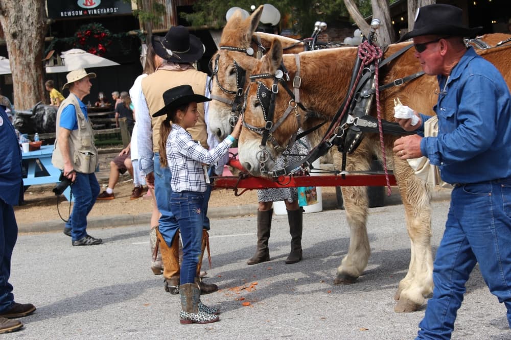 The Sam Houston Trail Riders made their annual stop in the city of Tomball for a reception with the community Feb. 22 on their way from Montgomery to the Houston Livestock Show and Rodeo. (Kayli Thompson/Community Impact Newspaper)