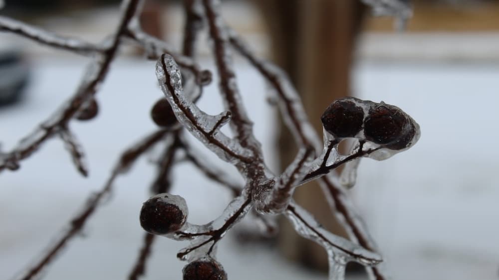 Northwest ISD cancels all after-school activities Feb. 23 due to winter weather