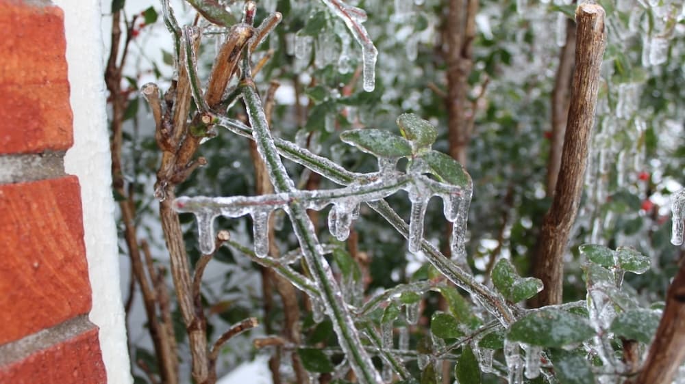 Northwest ISD closes all schools Feb. 24 due to inclement weather