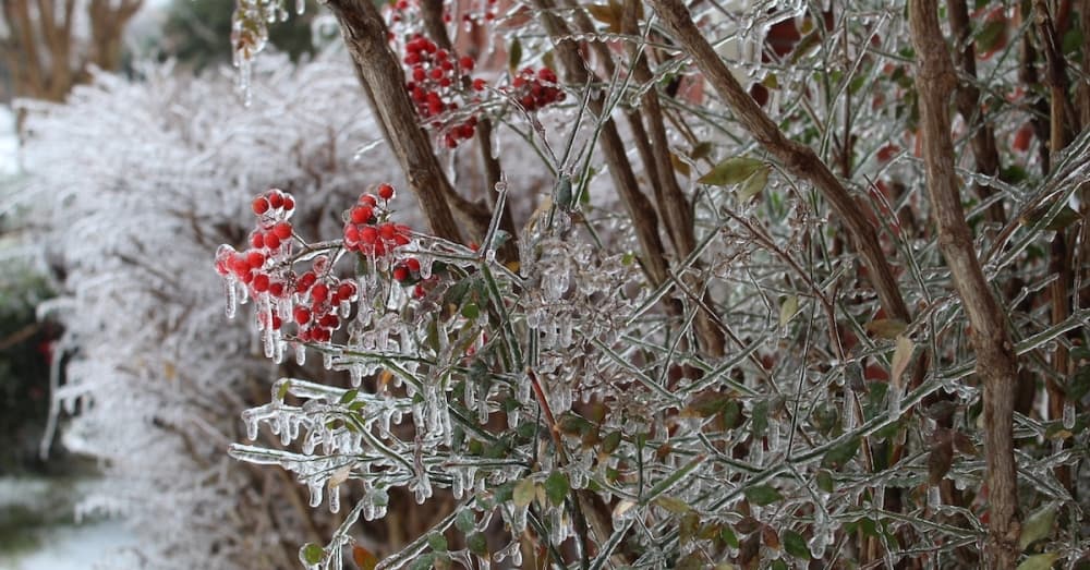 City facilities closed, trash pickup suspended in Grapevine, Colleyville, Southlake due to winter weather Feb. 23-24