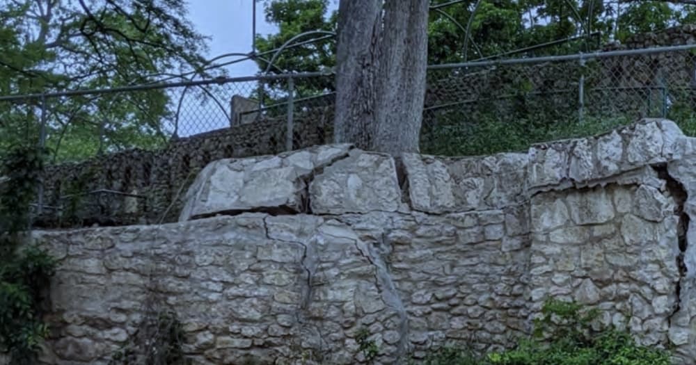 San Antonio council member addresses delay on proposed park tree removal