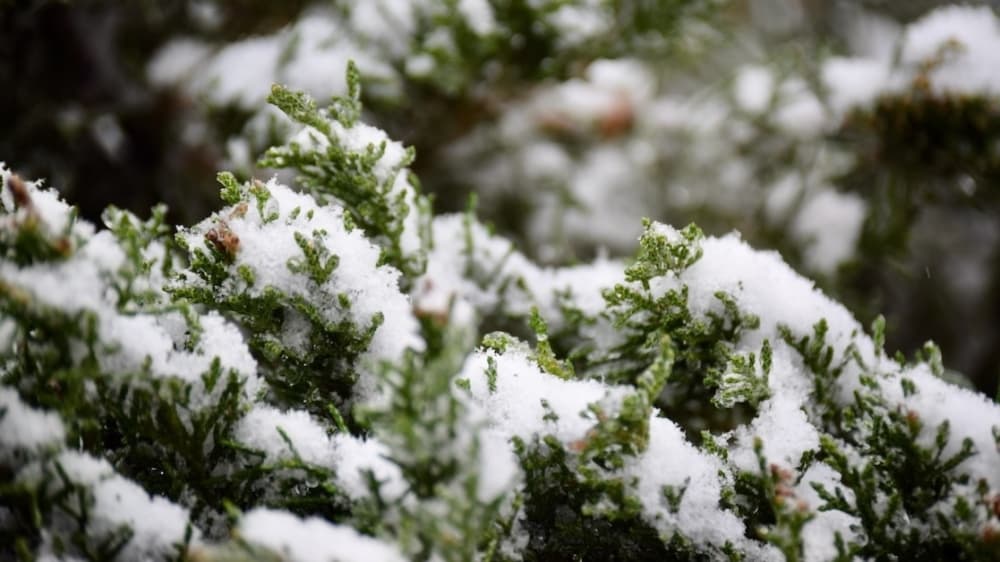 Closures, slick roads from winter weather across Keller, Roanoke, Fort Worth, Trophy Club and Westlake