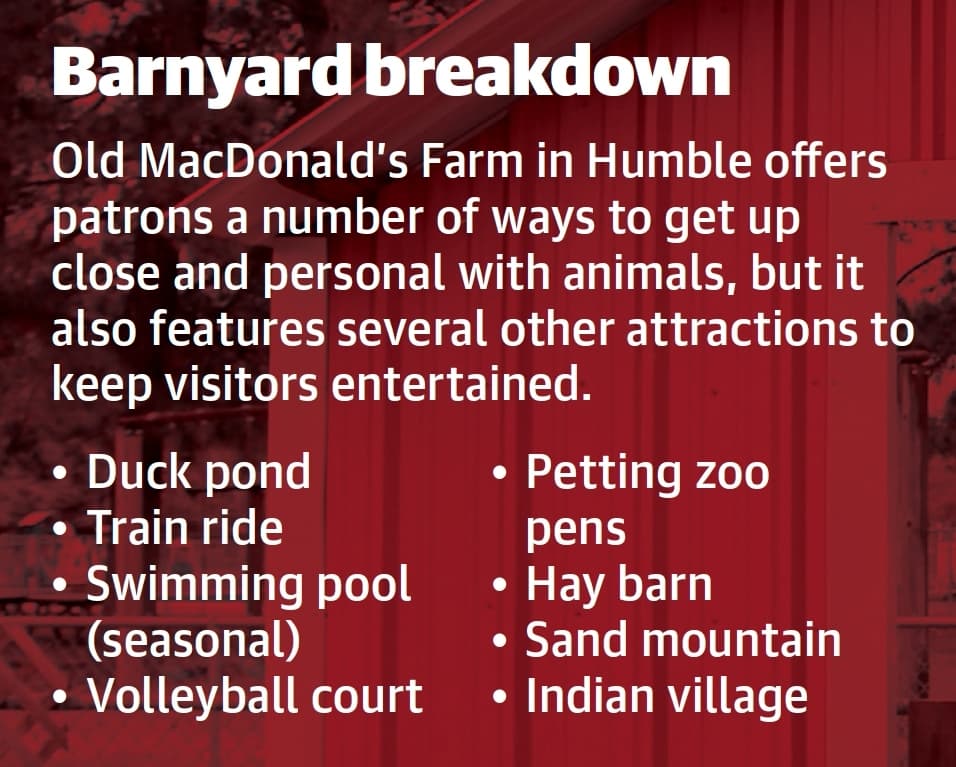 Old MacDonald’s Farm in Humble offers patrons a number of ways to get up close and personal with animals, but it also features several other attractions to keep visitors entertained. (Ronald Winters/Community Impact Newspaper) 