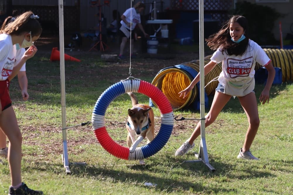 2022 Northwest Austin summer camp guide: 51 academic, arts, day and sports camp options