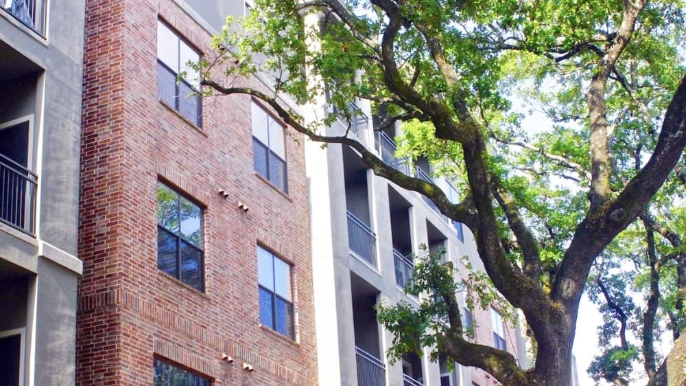 Travis County opens application for rent, mortgage assistance program as eviction protections expire