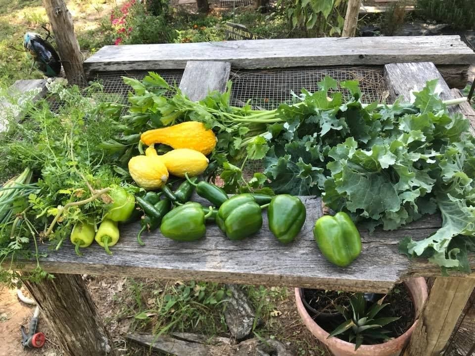 Magno Farms farmers market to celebrate grand opening in Montgomery