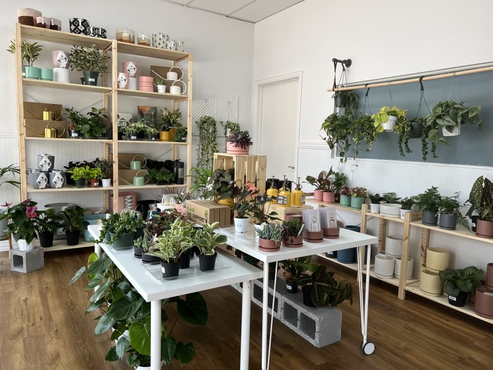Dote On to open brick-and-mortar plant boutique in Kingwood