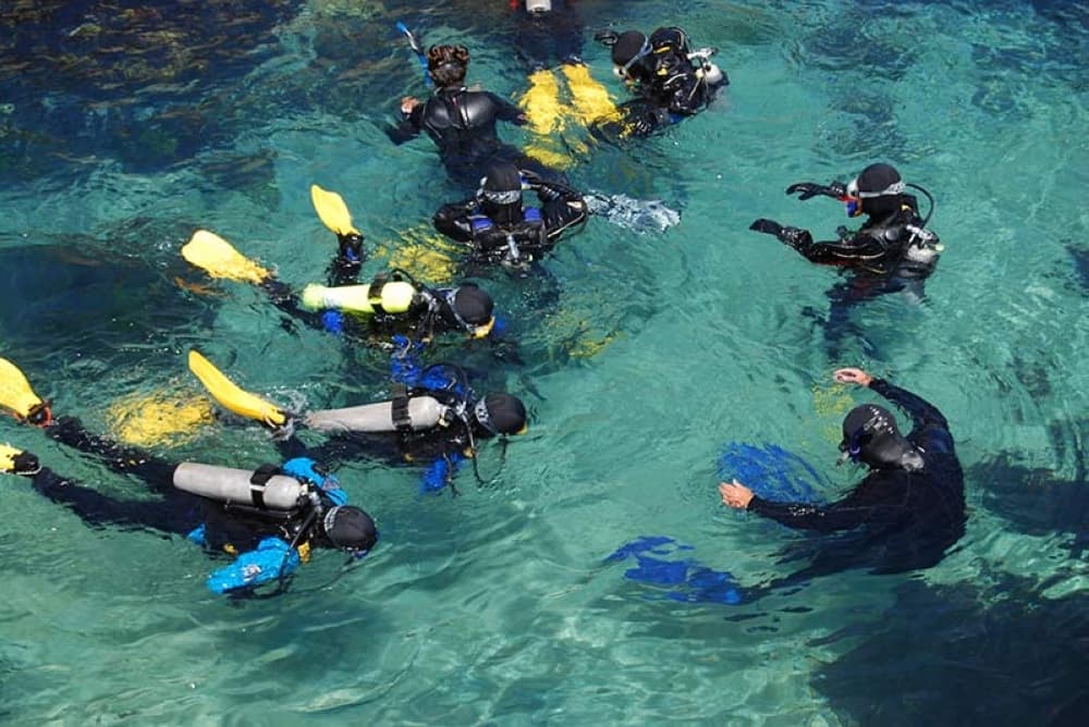 Learn robotics, martial arts and more: 15 spring and summer camps to attend in the Bay Area