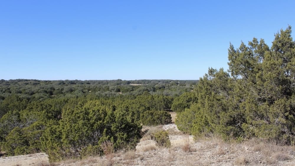 Construction on River Ranch County Park stalled for a year due to contractor issues, county judge says