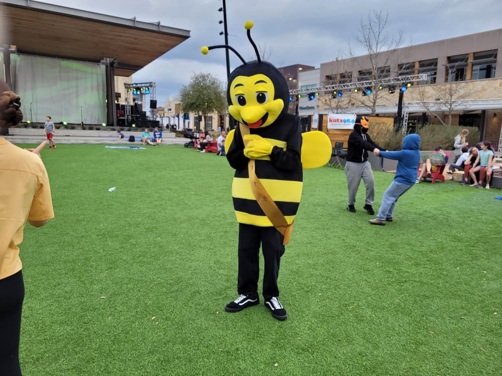 Bee Cave chamber to name mascot