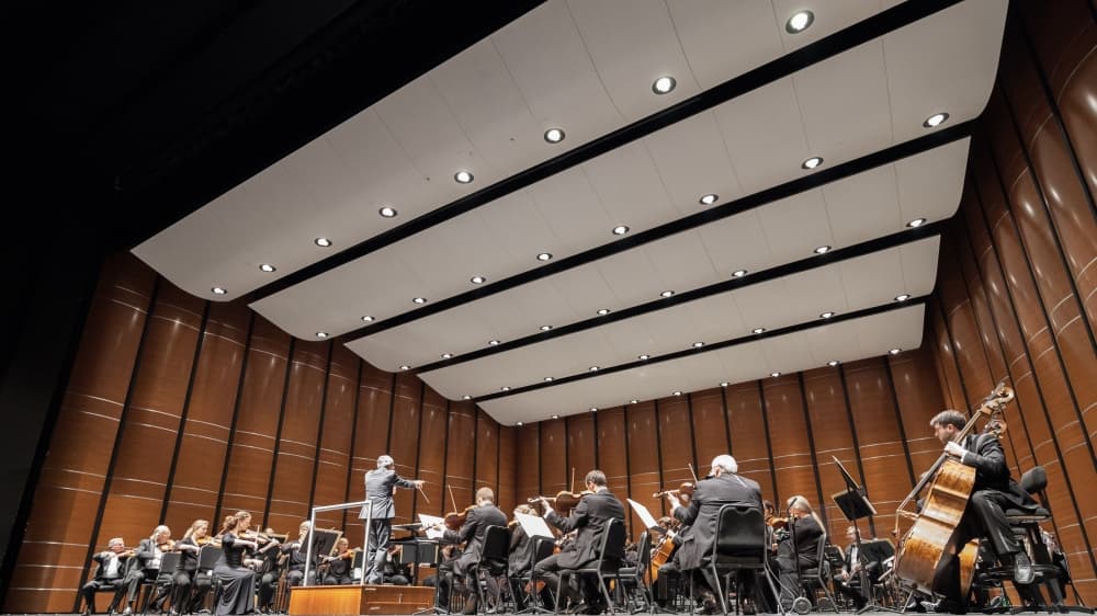 Lake Travis High School musicians to perform with Austin Symphony Orchestra March 26