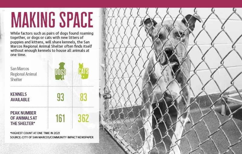 Lone county animal shelter navigates frequent overcapacity