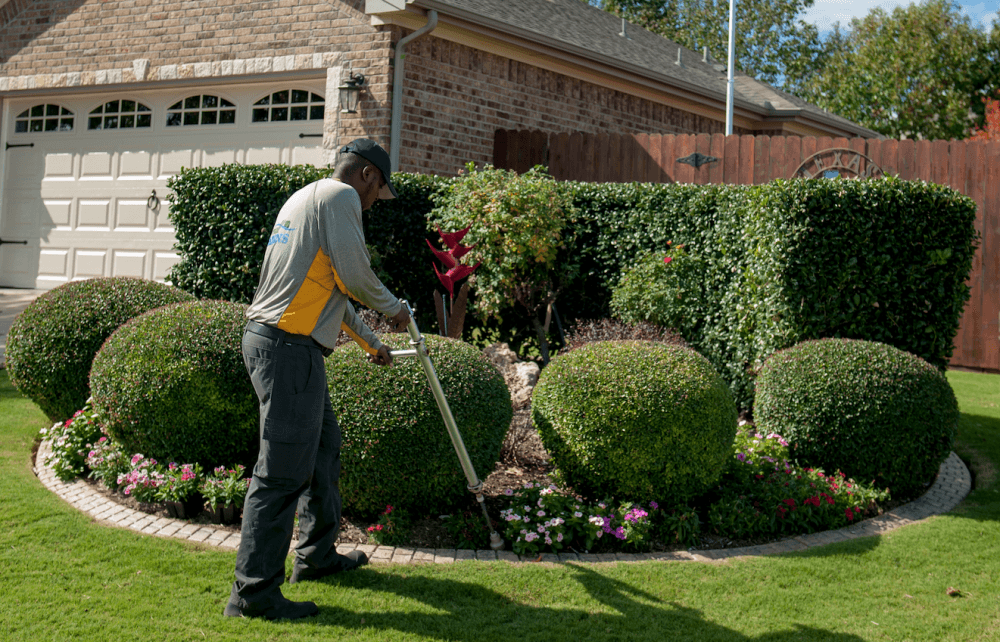 Emerald Lawns launches home pest control, shares 5 tricks to thriving landscaping