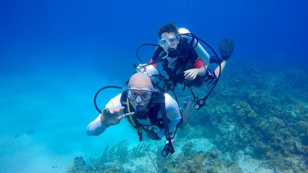 Learn to scuba dive, become a karate master: 18 summer camps to attend in the Bay Area