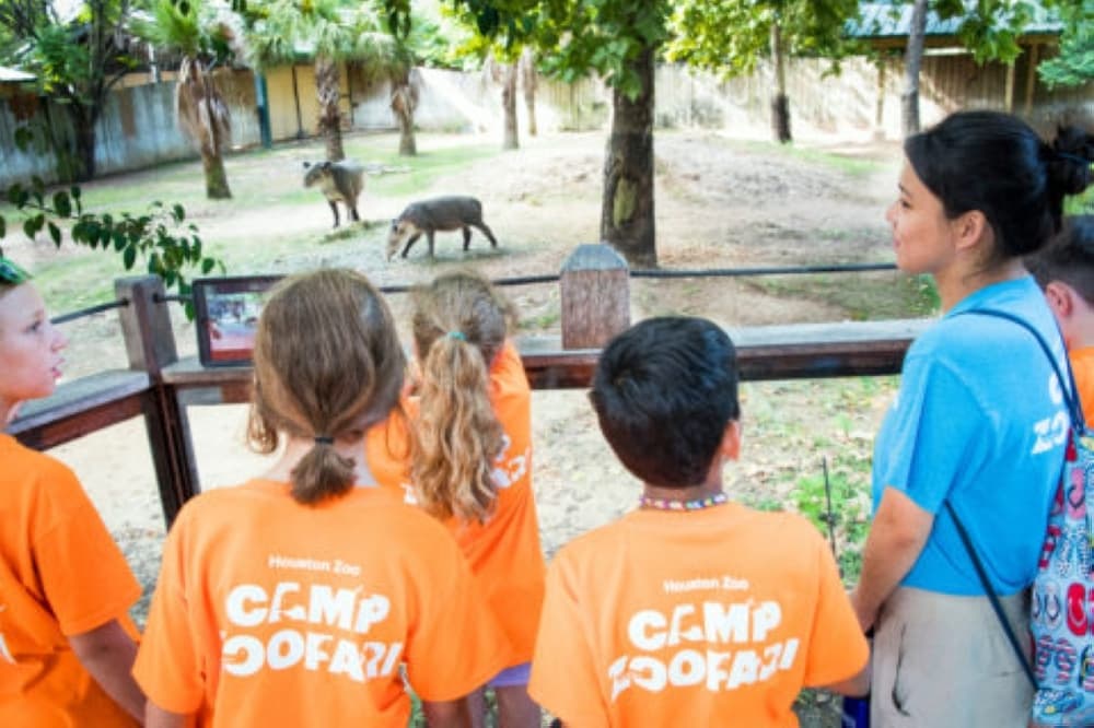 UPDATED: 19 local camps to consider this summer in the Bellaire, Meyerland and West University areas