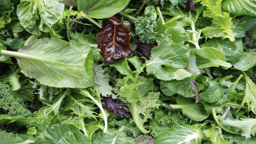 Crisp & Green to open Southlake location