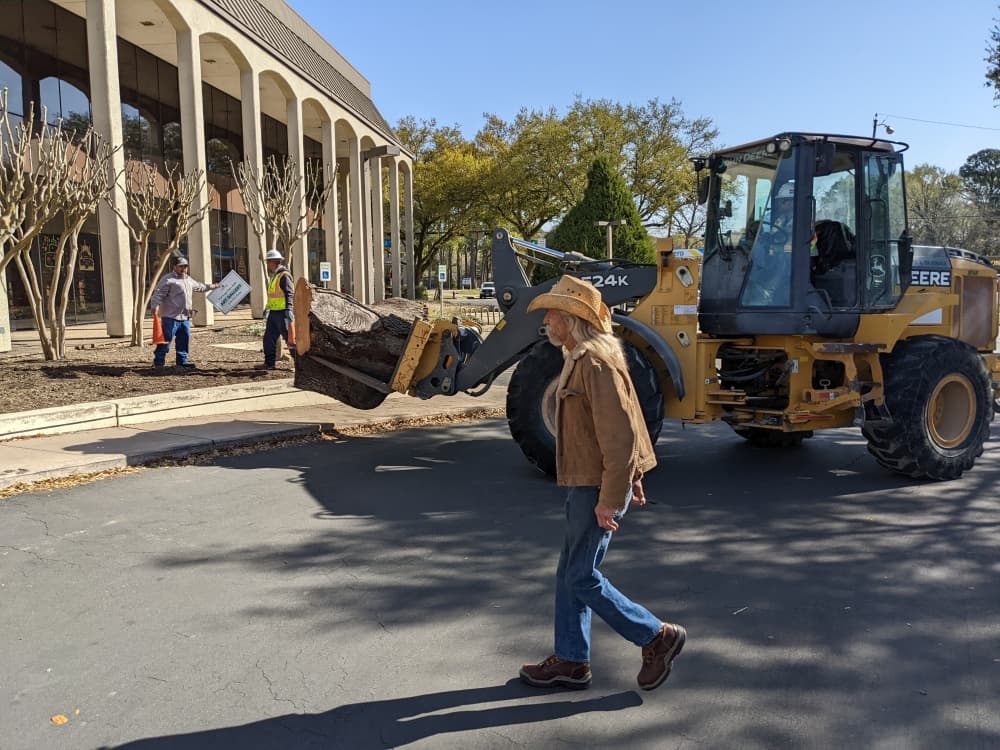 Clear Lake artist Jimmy Phillips watches as part of a cut-down oak tree is installed outside Helen Hall Library in League City on March 24. Phillips will carve the wood into art. (Jake Magee/Community Impact Newspaper)