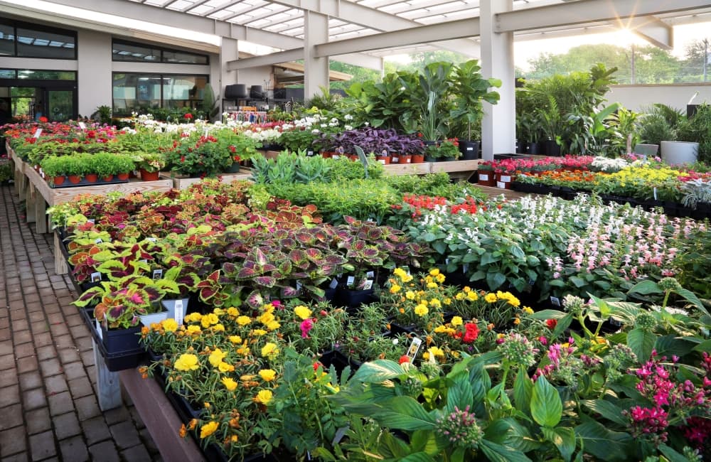 Shoal Creek Nursery features locally grown plants, excellent customer service