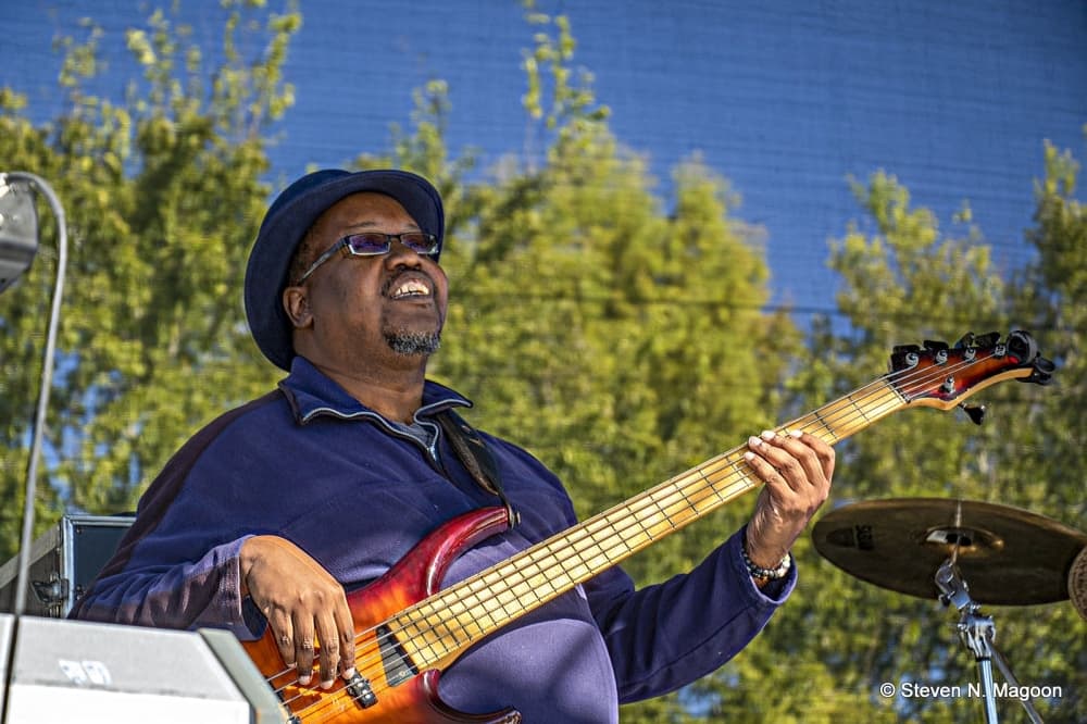 Music festival at Willow Waterhole Greenway, book sale in Bellaire: 13 local events to check out in April