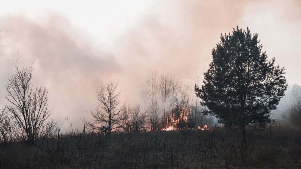 Williamson County extends outdoor burn ban as dry conditions continue