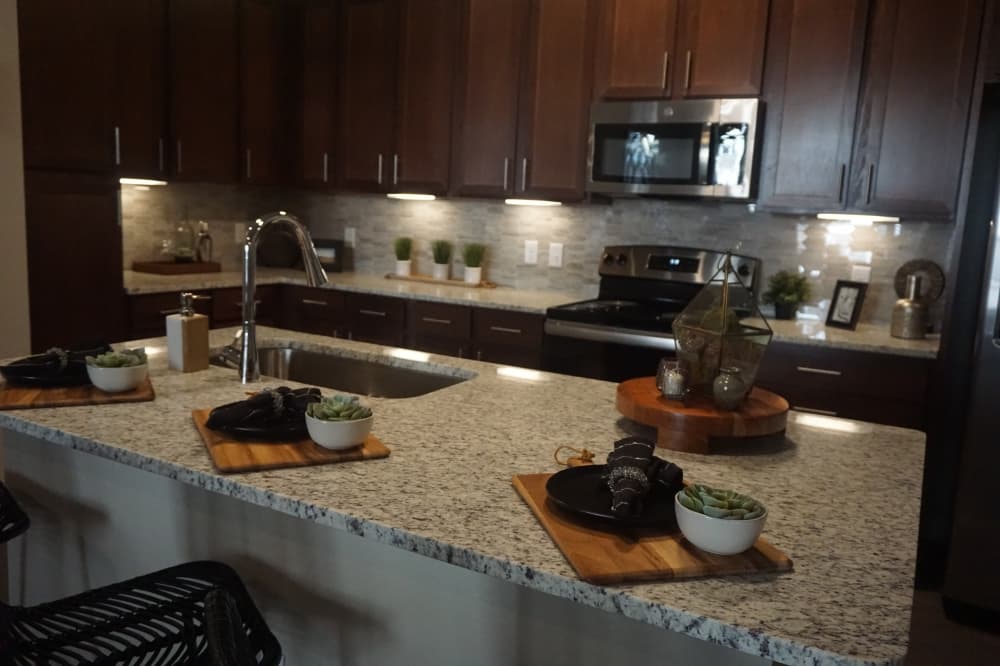 Apartments include fully-equipped kitchens with stainless steel appliances. (Mikah Boyd/Community Impact Newspaper)