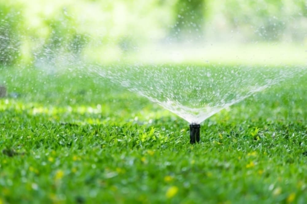 Richardson limiting sprinkler use for residents