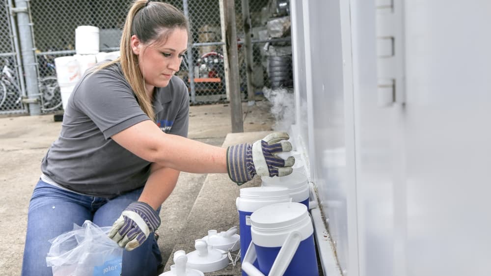 City works to prevent spread of West Nile virus, other mosquito-borne illnesses in Plano