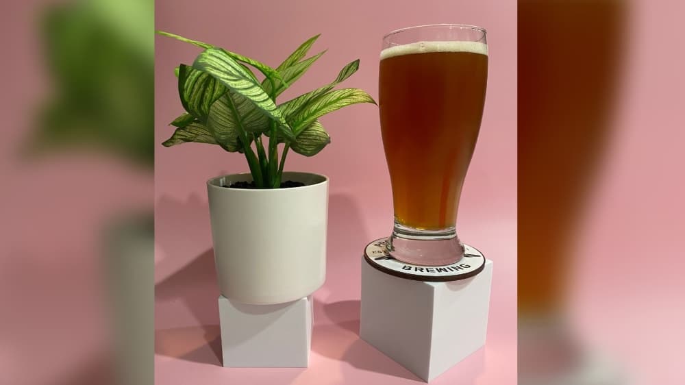 Veteran-owned, small craft brewery coming to Fulshear this summer