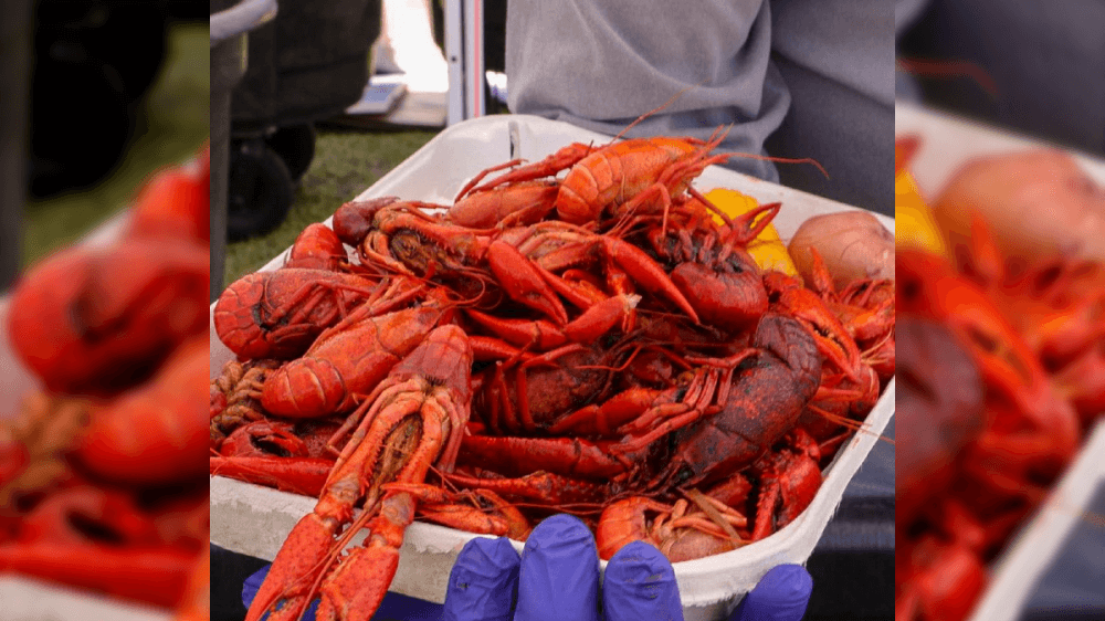 4 things to do in Pflugerville and Hutto this weekend, April 9-10
