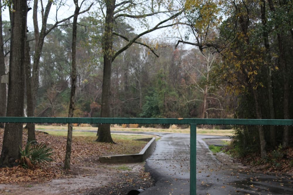 Cypress Creek Flooding Task Force targets partnership funds to protect Cultural District