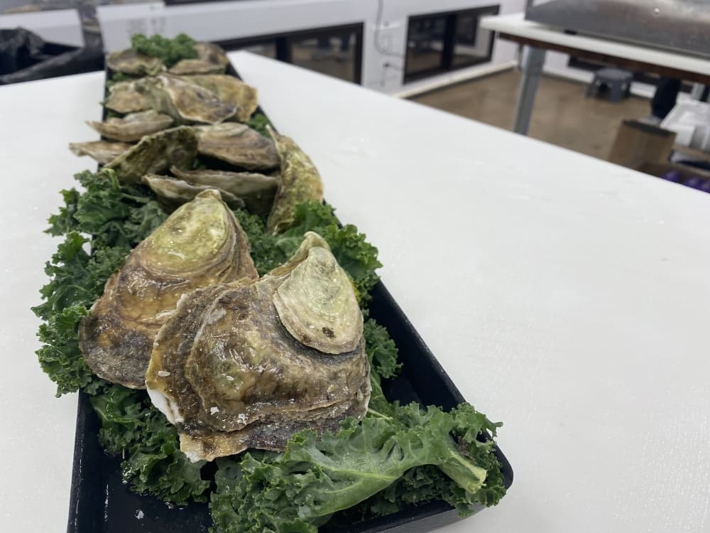 
Oysters are available for purchase.