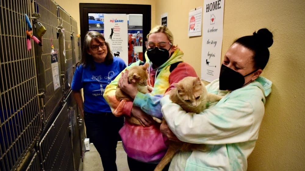 Frisco Humane Society adopts out 10,000th animal in 2022