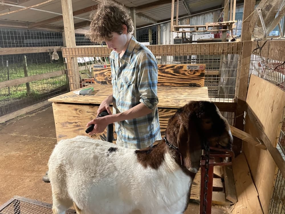 Upcoming livestock show and auction to help Lamar High School FFA complete new barn