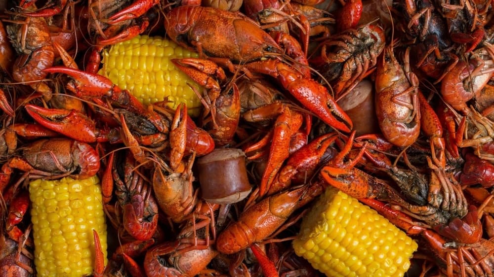 17 events and activities to do this April and May in the Southwest Austin area
