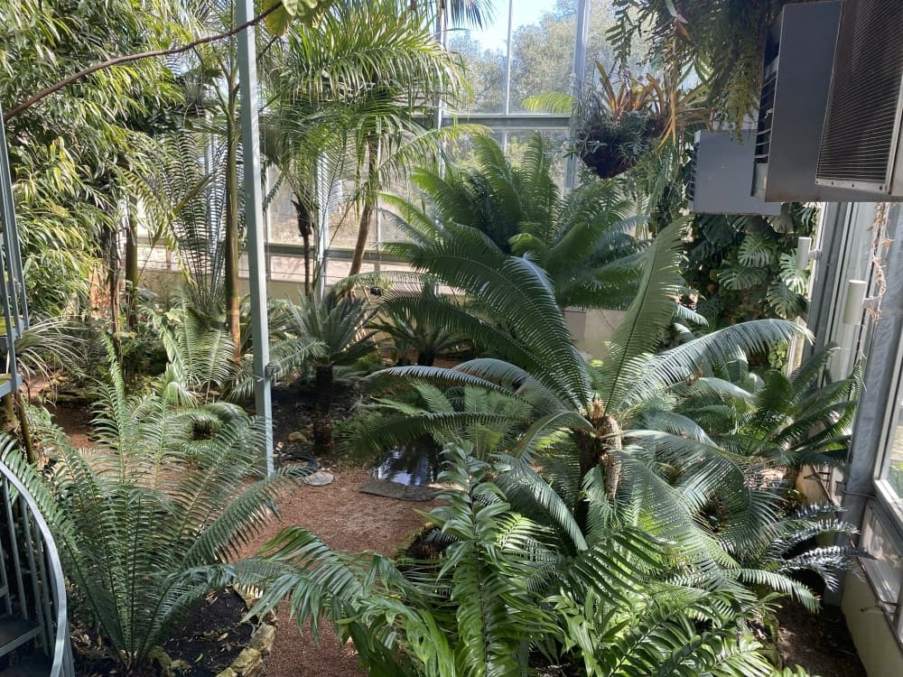 The Tropical Greenhouse (Darcy Sprague/Community Impact Newspaper)
