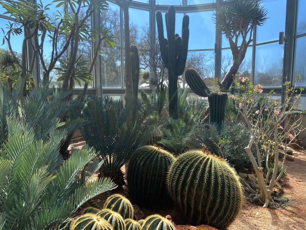 The Desert Greenhouse (Darcy Sprague/Community Impact Newspaper)