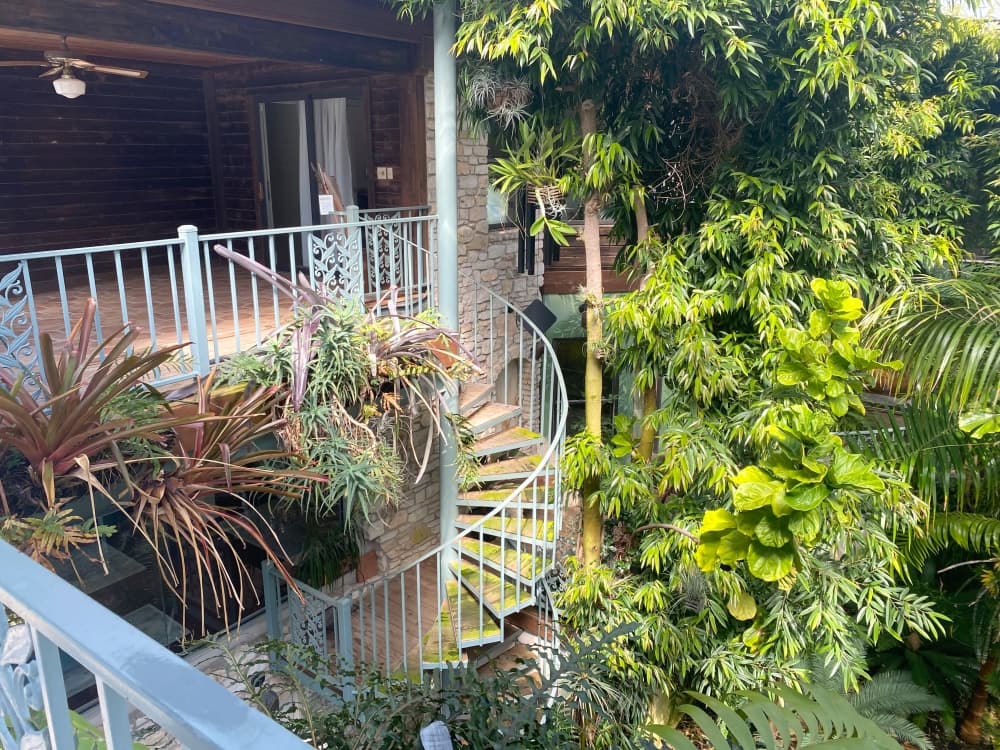 The Tropical Greenhouse (Darcy Sprague/Community Impact Newspaper)