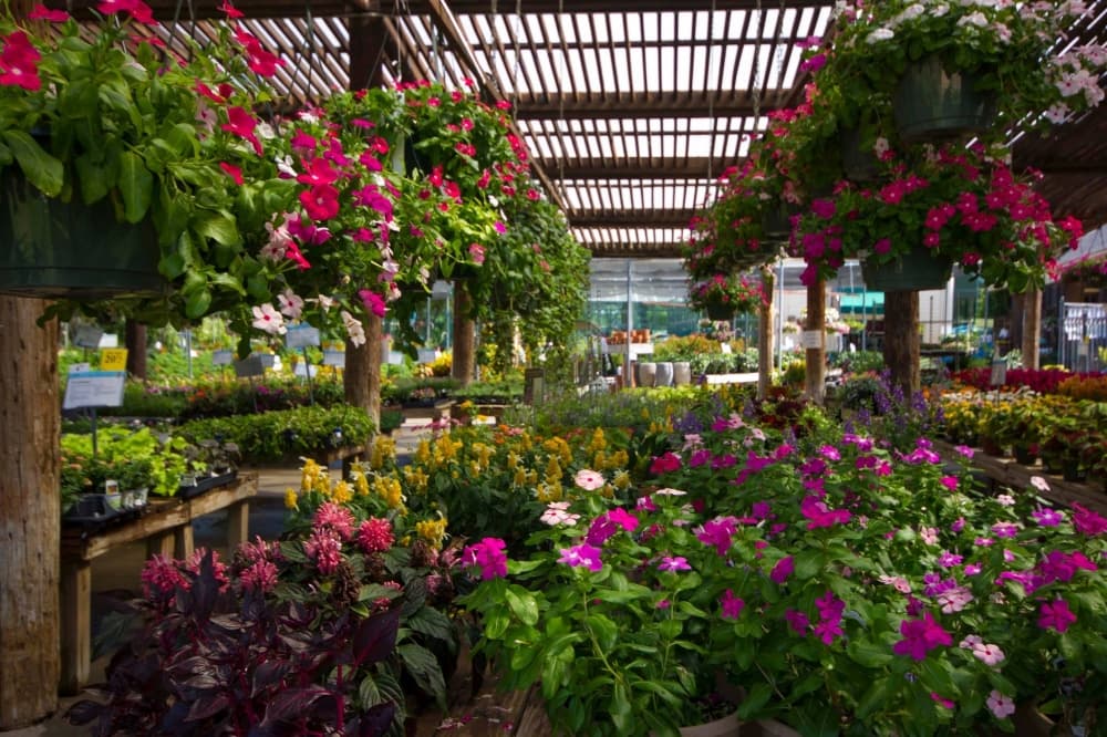 Cornelius Nursery to celebrate grand opening in Spring May 6-8