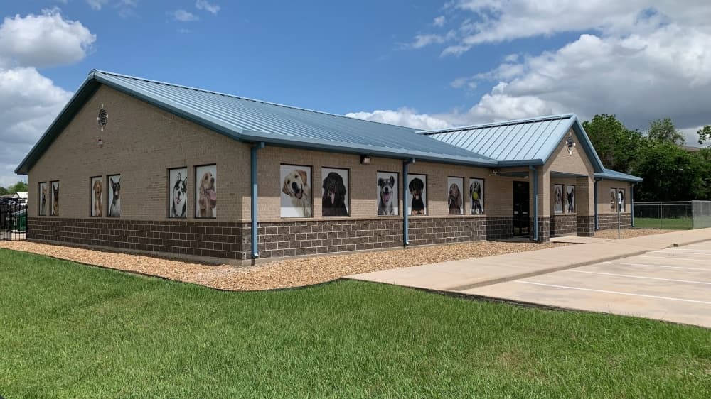 USA Pet Resorts celebrates grand opening in Spring