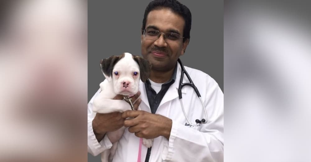 Castle Hills Animal Hospital to open Lewisville clinic