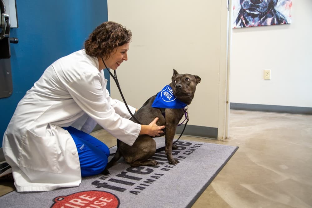 Firehouse Animal Health Center underway in Cedar Park