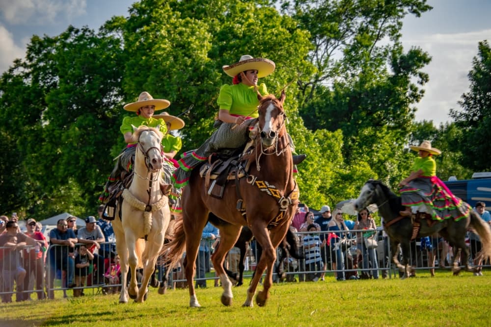 Here are things to do in Lewisville, Flower Mound and Highland Village