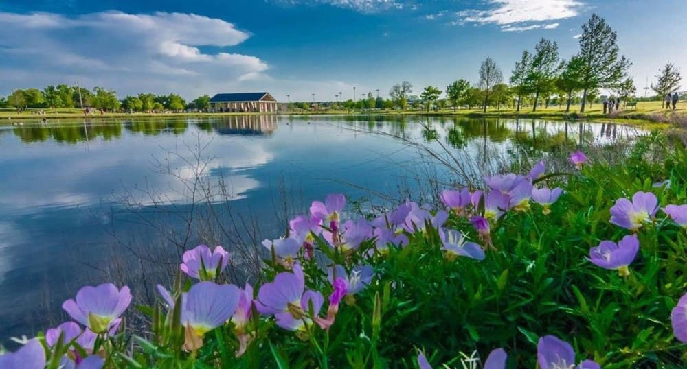 Plano Fishing Guide: Here are six stocked fishing locations in the city