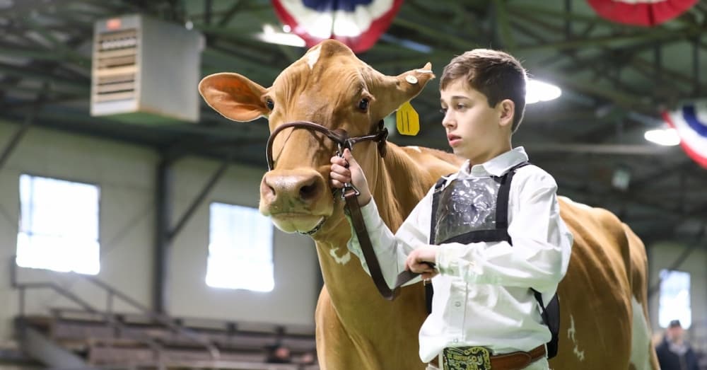 2022 Fort Worth Stock Show & Rodeo generated 1.55M visitor days, $115M in direct spending, report shows