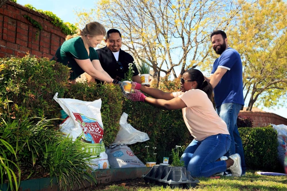 City program offers up to $10K in effort to beautify Plano’s neighborhoods