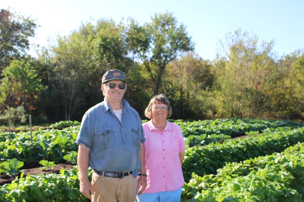 God’s Garden nonprofit feeds the hungry through growing community garden