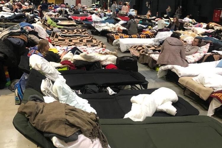 A room is filled with cots for refugees.