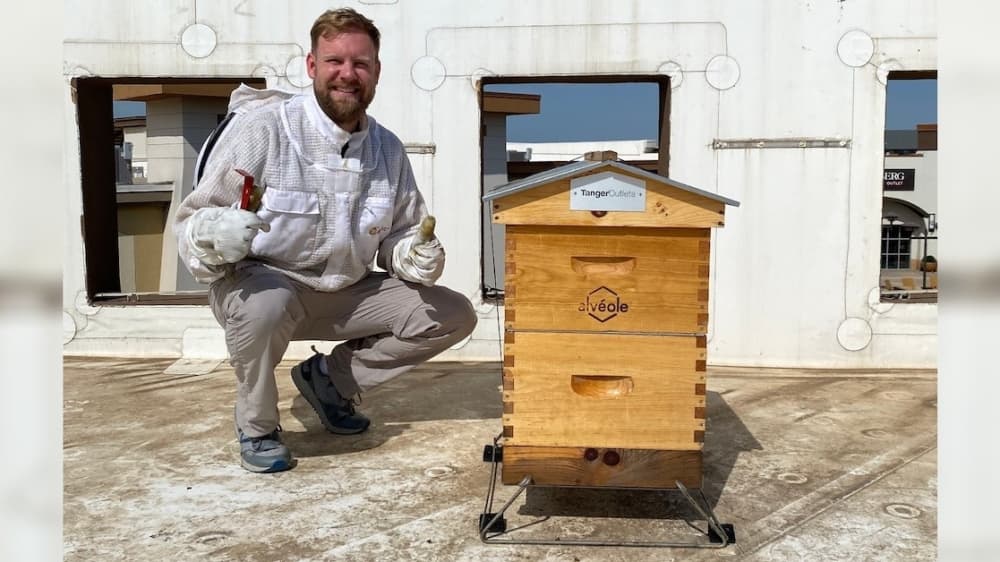 Tanger Outlets Fort Worth beehive installation reaches one-year anniversary